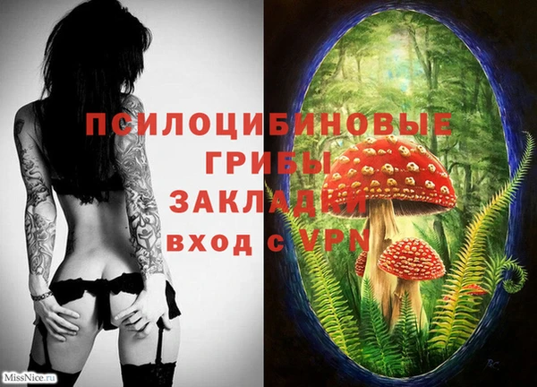 синтетический гашиш Верхний Тагил