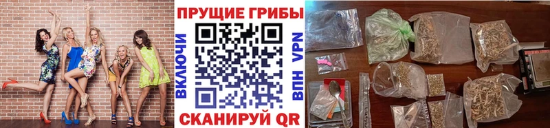 Галлюциногенные грибы MAGIC MUSHROOMS  сколько стоит  Северобайкальск 